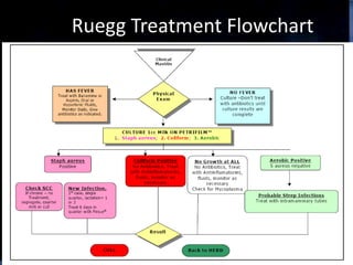 Ruegg Treatment Flowchart
 