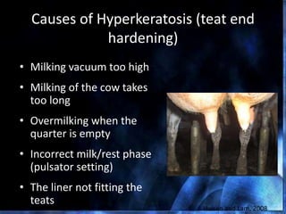 Causes of Hyperkeratosis (teat end
hardening)
• Milking vacuum too high
• Milking of the cow takes
too long
• Overmilking when the
quarter is empty
• Incorrect milk/rest phase
(pulsator setting)
• The liner not fitting the
teats
Hulsen and Lam, 2008
 
