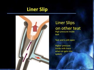 Liner Slips
on other teat
High pressure inside
teat
Teat end is still open
Higher pressure
inside milk liners
when air gets into
system
Liner Slip
 