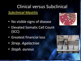 Clinical versus Subclinical
Subclinical Mastitis
• No visible signs of disease
• Elevated Somatic Cell Count
(SCC)
• Greatest financial loss
• Strep. Agalactiae
• Staph. aureus
Crist et al., 1997, Mastitis and its Control, University of Kentucky ASC-140
 