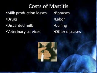 Costs of Mastitis
•Milk production losses
•Drugs
•Discarded milk
•Veterinary services
•Bonuses
•Labor
•Culling
•Other diseases
 