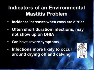 Indicators of an Environmental
Mastitis Problem
• Incidence increases when cows are dirtier
• Often short duration infections, may
not show up on DHIA
• Can have severe symptoms
• Infections more likely to occur
around drying off and calving
 