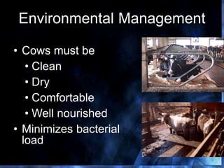 Environmental Management
• Cows must be
• Clean
• Dry
• Comfortable
• Well nourished
• Minimizes bacterial
load
 