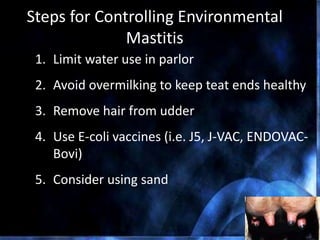 Steps for Controlling Environmental
Mastitis
1. Limit water use in parlor
2. Avoid overmilking to keep teat ends healthy
3. Remove hair from udder
4. Use E-coli vaccines (i.e. J5, J-VAC, ENDOVAC-
Bovi)
5. Consider using sand
 