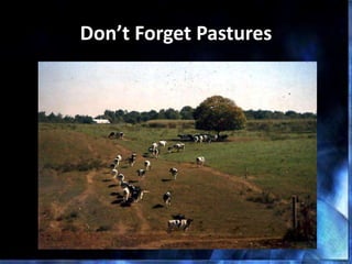 Don’t Forget Pastures
 