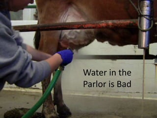 Water in the
Parlor is Bad
 