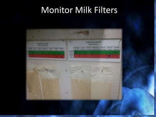 Monitor Milk Filters
 