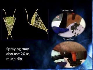 Spraying Versus Dipping
• Spraying may
also use 2X as
much dip
Sprayed Teat
Dipped Teat
 