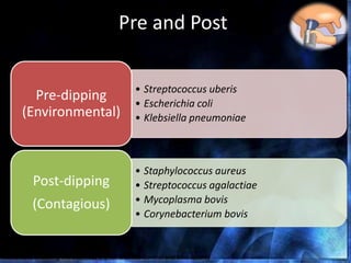 Pre and Post
Nickerson, Choosing the Best Teat Dip for Mastitis Control and Milk Quality
• Streptococcus uberis
• Escherichia coli
• Klebsiella pneumoniae
Pre-dipping
(Environmental)
• Staphylococcus aureus
• Streptococcus agalactiae
• Mycoplasma bovis
• Corynebacterium bovis
Post-dipping
(Contagious)
 