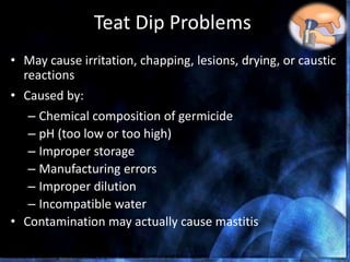 Teat Dip Problems
• May cause irritation, chapping, lesions, drying, or caustic
reactions
• Caused by:
– Chemical composition of germicide
– pH (too low or too high)
– Improper storage
– Manufacturing errors
– Improper dilution
– Incompatible water
• Contamination may actually cause mastitis
Nickerson, Choosing the Best Teat Dip for Mastitis Control and Milk Quality
 
