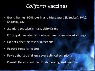 Coliform Vaccines
• Brand Names: J-5 Bacterin and Mastiguard (identical), JVAC,
Endovac-Bovi
• Standard practice in many dairy farms
• Efficacy demonstrated in research and commercial settings
• Do not affect the rate of infections
• Reduce bacterial counts
• Fewer, shorter, and less severe clinical symptoms
• Provide the cow with better defense against bacteria
 