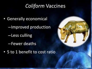Coliform Vaccines
• Generally economical
–Improved production
–Less culling
–Fewer deaths
• 5 to 1 benefit to cost ratio
 
