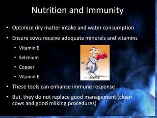 Nutrition and Immunity
• Optimize dry matter intake and water consumption
• Ensure cows receive adequate minerals and vitamins
• Vitamin E
• Selenium
• Copper
• Vitamin E
• These tools can enhance immune response
• But, they do not replace good management (clean
cows and good milking procedures)
 