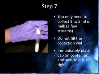 Step 7
• You only need to
collect 3 to 5 ml of
milk (a few
streams)
• Do not fill the
collection vial
• Immediately place
cap on container
and seal so it is air
tight
 
