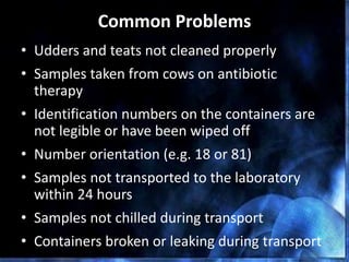 Common Problems
• Udders and teats not cleaned properly
• Samples taken from cows on antibiotic
therapy
• Identification numbers on the containers are
not legible or have been wiped off
• Number orientation (e.g. 18 or 81)
• Samples not transported to the laboratory
within 24 hours
• Samples not chilled during transport
• Containers broken or leaking during transport
 