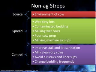 Non-ag Streps
Source • Environment of cow
Spread
• Wet dirty lots
• Contaminated bedding
• Milking wet cows
• Poor cow prep
• Milking machine air slips
Control
• Improve stall and lot sanitation
• Milk clean dry cows
• Avoid air leaks and liner slips
• Change bedding frequently
Source: University of Minnesota SCC Diagnostics Tool Box
 