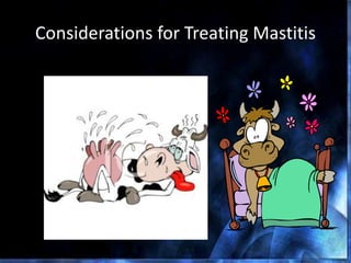 Considerations for Treating Mastitis
 