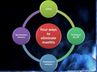 Four ways
to
eliminate
mastitis
Culling
Treating at
dry-off
Treatment in
lactation
Spontaneous
recovery
Winning the Fight Against Mastitis, 2000
 