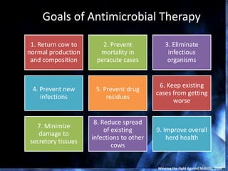 Goals of Antimicrobial Therapy
1. Return cow to
normal production
and composition
2. Prevent
mortality in
peracute cases
3. Eliminate
infectious
organisms
4. Prevent new
infections
5. Prevent drug
residues
6. Keep existing
cases from getting
worse
7. Minimize
damage to
secretory tissues
8. Reduce spread
of existing
infections to other
cows
9. Improve overall
herd health
Winning the Fight Against Mastitis, 2000
 
