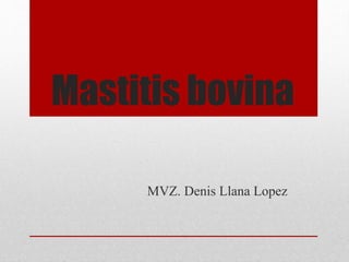 Mastitis bovina
MVZ. Denis Llana Lopez
 