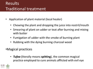 The need for awareness raising on the causes and treatment of mastitis in livestock among pastoralists in southern Ethiopia 