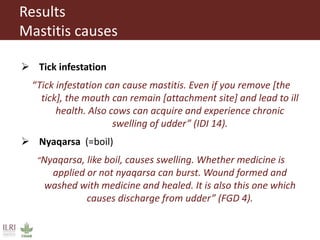 The need for awareness raising on the causes and treatment of mastitis in livestock among pastoralists in southern Ethiopia 