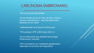 CARCINOMA EMBRIONARIO.
25% de tumores germinales.
Forma infantil (tumor de Yolk, del saco vitelino o
del seno endodérmico), más frecuente tumor
testicular en los niños.
Habitualmente no lo hace en forma pura
75% produce AFP y 80% tiene GCH (+)
No es infrecuente que presente hemorragia
intratumoral y necrosis.
60% se presenta con metástasis ganglionares
regionales al momento del diagnóstico
 