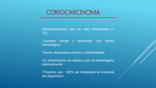 CORIOCARCINOMA.
Afortunadamente son los más infrecuentes (<
2%)
Lesiones únicas y pequeñas, con centro
hemorrágico
Puede visualizarse sincitio y citotrofoblasto
Su diseminación es rápida y por vía hematógena
habitualmente
Presenta casi 100% de metástasis al momento
del diagnóstico
 