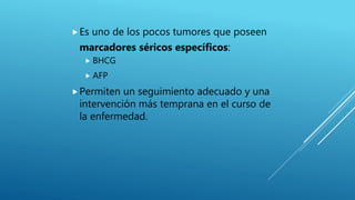 Es uno de los pocos tumores que poseen
marcadores séricos específicos:
 BHCG
 AFP
Permiten un seguimiento adecuado y una
intervención más temprana en el curso de
la enfermedad.
 