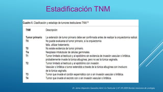 Estadificación TNM
Dr. Jaime Alejandro Saavedra Abril, Ca Testicular 1:47-59 2009 Revista mexicana de urología,
 