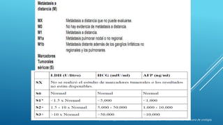 Dr. Jaime Alejandro Saavedra Abril, Ca Testicular 1:47-59 2009 Revista mexicana de urología,
 