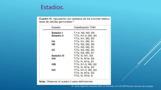 Estadios.
Dr. Jaime Alejandro Saavedra Abril, Ca Testicular 1:47-59 2009 Revista mexicana de urología,
 