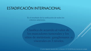 Clasifica de acuerdo al valor de
los marcadores tumorales y los
sitios de metástasis ganglionares o
viscerales en 3 niveles.
ESTADIFICACIÓN INTERNACIONAL
Es el resultado de la unificación de todos los
criterios anteriores.
Dr. Jaime Alejandro Saavedra Abril, Ca Testicular 1:47-59 2009 Revista mexicana de urología,
 