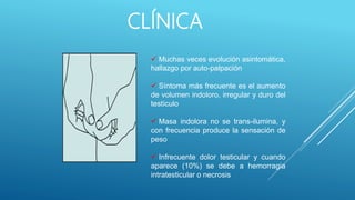 CLÍNICA
 Muchas veces evolución asintomática,
hallazgo por auto-palpación
 Síntoma más frecuente es el aumento
de volumen indoloro, irregular y duro del
testículo
 Masa indolora no se trans-ilumina, y
con frecuencia produce la sensación de
peso
 Infrecuente dolor testicular y cuando
aparece (10%) se debe a hemorragia
intratesticular o necrosis
 