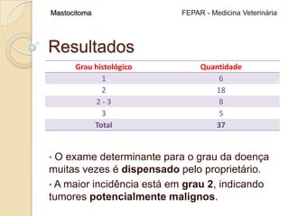 Mastocitoma versão novadooffice