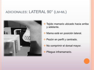 ADICIONALES: LATERAL 90° (LM-ML)
 Tejido mamario ubicado hacia arriba
y adelante.
 Mama esté en posición lateral.
 Pezón en perfil y centrado.
 No comprimir el dorsal mayor.
 Pliegue inframamario.
 