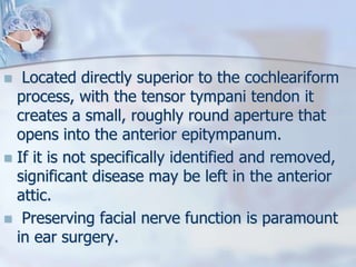  Located directly superior to the cochleariform
process, with the tensor tympani tendon it
creates a small, roughly round aperture that
opens into the anterior epitympanum.
 If it is not specifically identified and removed,
significant disease may be left in the anterior
attic.
 Preserving facial nerve function is paramount
in ear surgery.
 