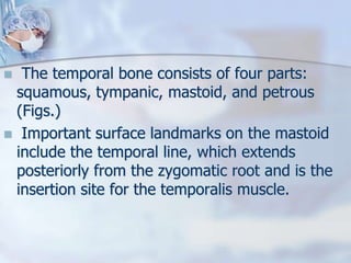  The temporal bone consists of four parts:
squamous, tympanic, mastoid, and petrous
(Figs.)
 Important surface landmarks on the mastoid
include the temporal line, which extends
posteriorly from the zygomatic root and is the
insertion site for the temporalis muscle.
 