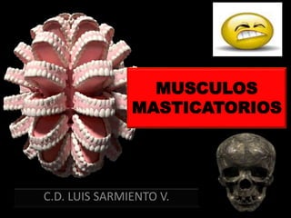 C.D. LUIS SARMIENTO V.
MUSCULOS
MASTICATORIOS
 