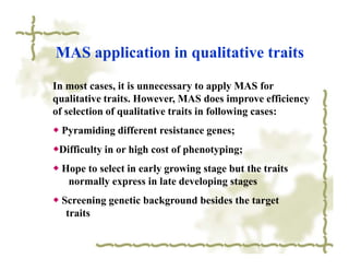 MAS application in qualitative traits

In most cases, it is unnecessary to apply MAS for
qualitative traits. However, MAS does improve efficiency
of selection of qualitative traits in following cases:
◆ Pyramiding different resistance genes;
◆Difficulty in or high cost of phenotyping;
◆ Hope to select in early growing stage but the traits
   normally express in late developing stages
◆ Screening genetic background besides the target
   traits
 