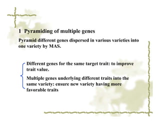 1 Pyramiding of multiple genes
Pyramid different genes dispersed in various varieties into
one variety by MAS.


   Different genes for the same target trait: to improve
   trait value.
   Multiple genes underlying different traits into the
   same variety: ensure new variety having more
   favorable traits
 
