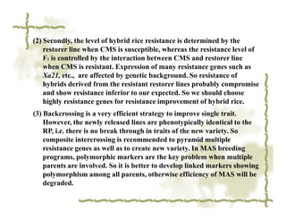 (2) Secondly, the level of hybrid rice resistance is determined by the
    restorer line when CMS is susceptible, whereas the resistance level of
    F1 is controlled by the interaction between CMS and restorer line
    when CMS is resistant. Expression of many resistance genes such as
    Xa21, etc., are affected by genetic background. So resistance of
    hybrids derived from the resistant restorer lines probably compromise
    and show resistance inferior to our expected. So we should choose
    highly resistance genes for resistance improvement of hybrid rice.
(3) Backcrossing is a very efficient strategy to improve single trait.
    However, the newly released lines are phenotypically identical to the
    RP, i.e. there is no break through in traits of the new variety. So
    composite intercrossing is recommended to pyramid multiple
    resistance genes as well as to create new variety. In MAS breeding
    programs, polymorphic markers are the key problem when multiple
    parents are involved. So it is better to develop linked markers showing
    polymorphism among all parents, otherwise efficiency of MAS will be
    degraded.
 