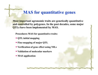 MAS for quantitative genes
Most important agronomic traits are genetically quantitative
and controlled by polygenes. In the past decades, some major
QTLs have been implemented by MAS.

  Procedures MAS for quantitative traits:
  ◆ QTL initial mapping
  ◆ Fine-mapping of major QTL
  ◆ Verification of gene effect using NILs
  ◆ Validation of molecular markers
  ◆ MAS application
 