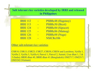 Salt tolerant rice varieties developed by IRRI and released
                        in Philippines

         IRRI 112          -        PSBRc48 (Hagonoy)
         IRRI 113          -        PSBRc50 (Bicol)
         IRRI 124          -        PSBRc84 (Sipocot)
         IRRI 125          -        PSBRc86 (Matnog)
         IRRI 126          -        PSBRc88 (Naga)
         IRRI 128          -        NSICRc106

Other salt-tolerant rice varieties

CSR10, CSR13, CSR23, CSR27, CSR30, CSR36 and Lunishree, Vytilla 1,
Vytilla 2, Vytilla 3, Vytilla 4, Panvel 1, Panvel 2, Sumati, Usar dhan 1, 2 &
3 (India); BRRI dhan 40, BRRI dhan 41 (Bangladesh); OM2717, OM2517,
OM3242 (Vietnam)
 
