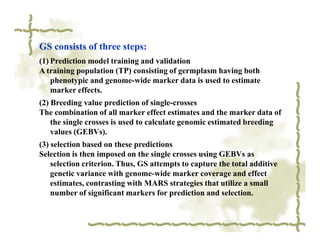 GS consists of three steps:
(1) Prediction model training and validation
A training population (TP) consisting of germplasm having both
    phenotypic and genome-wide marker data is used to estimate
    marker effects.
(2) Breeding value prediction of single-crosses
The combination of all marker effect estimates and the marker data of
    the single crosses is used to calculate genomic estimated breeding
    values (GEBVs).
(3) selection based on these predictions
Selection is then imposed on the single crosses using GEBVs as
    selection criterion. Thus, GS attempts to capture the total additive
    genetic variance with genome-wide marker coverage and effect
    estimates, contrasting with MARS strategies that utilize a small
    number of significant markers for prediction and selection.
 