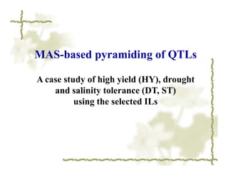MAS-based pyramiding of QTLs

A case study of high yield (HY), drought
    and salinity tolerance (DT, ST)
          using the selected ILs
 