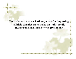 Molecular recurrent selection systems for improving
  multiple complex traits based on trait-specific
    ILs and dominant male sterile (DMS) line
 