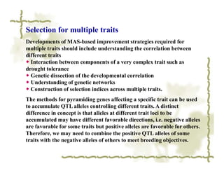 Selection for multiple traits
Developments of MAS-based improvement strategies required for
multiple traits should include understanding the correlation between
different traits
◆ Interaction between components of a very complex trait such as
drought tolerance
◆ Genetic dissection of the developmental correlation
◆ Understanding of genetic networks
◆ Construction of selection indices across multiple traits.
The methods for pyramiding genes affecting a specific trait can be used
to accumulate QTL alleles controlling different traits. A distinct
difference in concept is that alleles at different trait loci to be
accumulated may have different favorable directions, i.e. negative alleles
are favorable for some traits but positive alleles are favorable for others.
Therefore, we may need to combine the positive QTL alleles of some
traits with the negative alleles of others to meet breeding objectives.
 