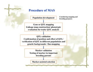 Procedure of MAS
                                         Considering mapping and
           Population development        breeding purposes


           Gene or QTL mapping
    Linkage map construction/ phenotypic
      evaluation for traits/ QTL analysis


                 QTL validation
  Confirmation of position and effect of QTL/
verification of QTL in different populations and
       genetic backgrounds / fine-mapping


              Marker validation
        Testing of marker in important
               breeding parents

           Marker-assisted selection
 