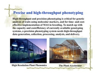 Precise and high-throughput phenotyping
High-throughput and precision phenotyping is critical for genetic
analysis of traits using molecular markers, and for time- and cost-
effective implementation of MAS in breeding. To match up with
the capacity and costefficiency of currently available genotyping
systems, a precision phenotyping system needs high-throughput
data generation, collection, processing, analysis, and delivery.




High Resolution Plant Phenomics           The Plant Accelerator
 